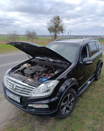 SsangYong REXTON cena 55700 przebieg: 266400, rok produkcji 2016 z Olesno małe 67